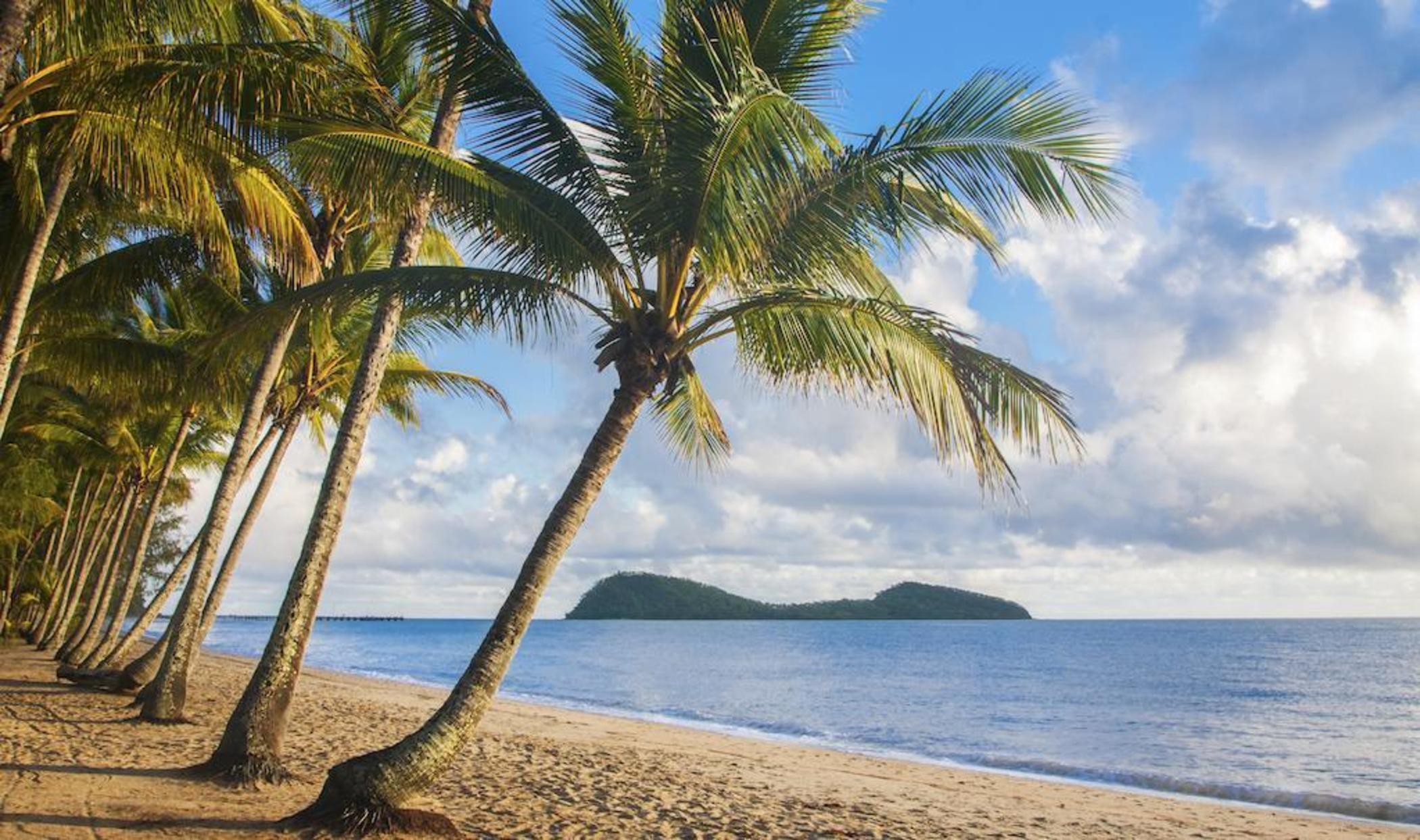 Mango Lagoon Resort & Wellness Spa Palm Cove Eksteriør bilde